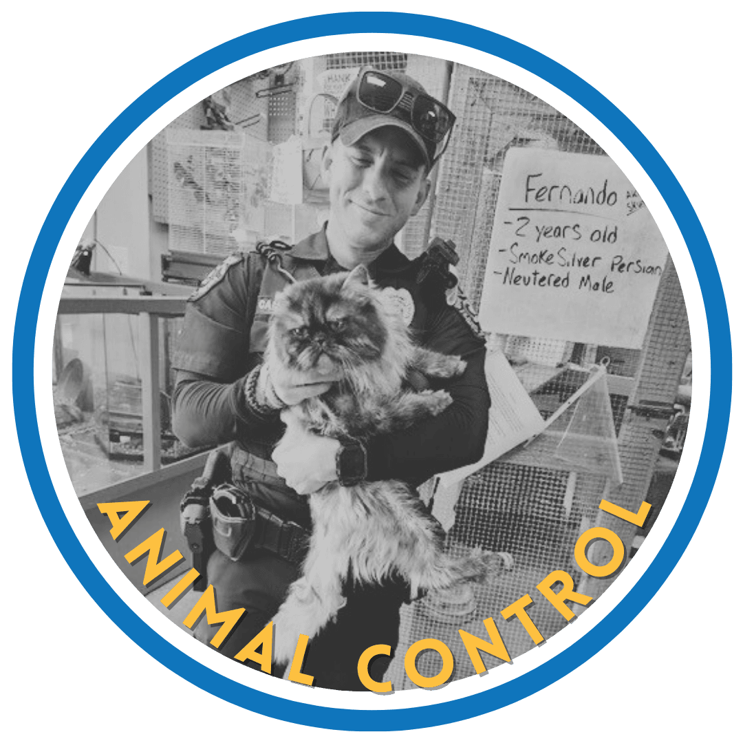 Animal Control Division Button
