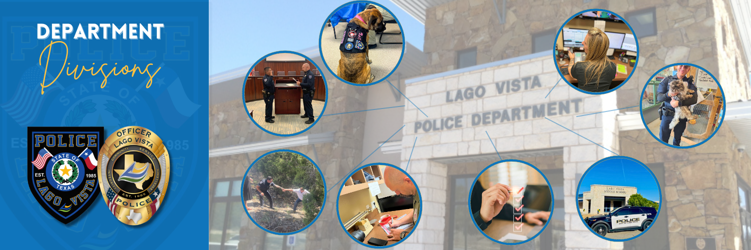 Department Divisions